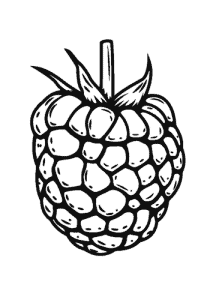 Lue lisää marjatilasta